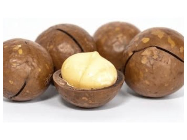 Macadamia